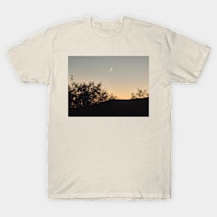 Moon Over Head T-Shirt